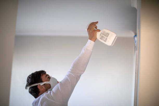 Best Black Mold Remediation in Beverly Hills, CA