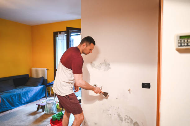 Best Mold Testing and Inspection Services in Beverly Hills, CA